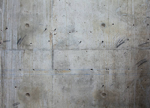 Best Concrete Contractor Near Me  in Monroe, WA